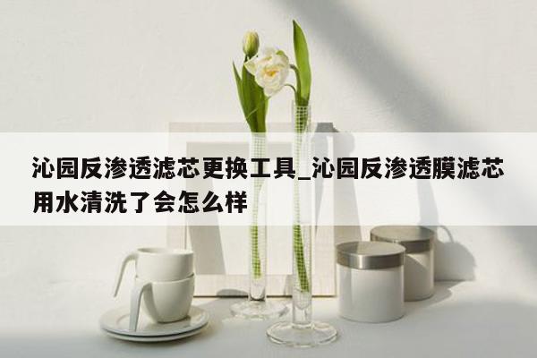 沁园反渗透滤芯更换工具_沁园反渗透膜滤芯用水清洗了会怎么样