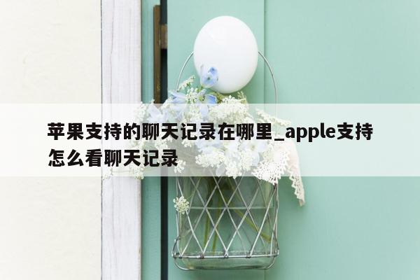 苹果支持的聊天记录在哪里_apple支持怎么看聊天记录