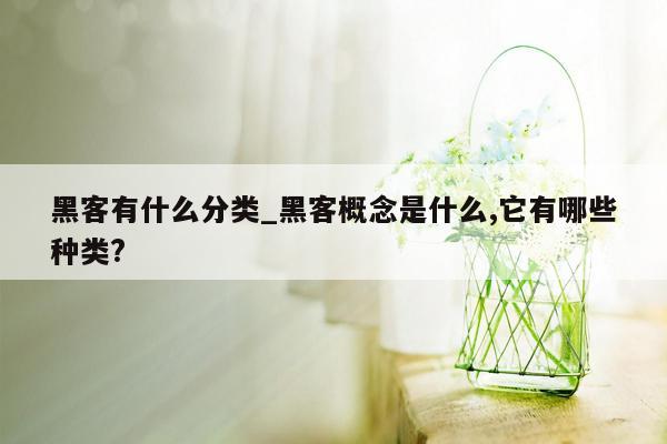 黑客有什么分类_黑客概念是什么,它有哪些种类?
