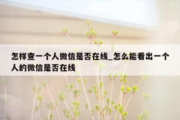 怎样查一个人微信是否在线_怎么能看出一个人的微信是否在线
