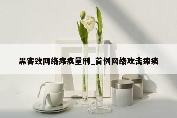 黑客致网络瘫痪量刑_首例网络攻击瘫痪