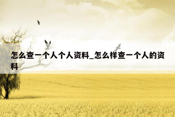 怎么查一个人个人资料_怎么样查一个人的资料