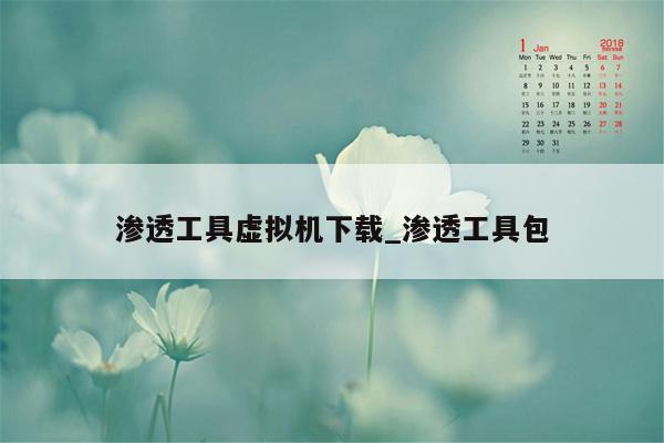 渗透工具虚拟机下载_渗透工具包