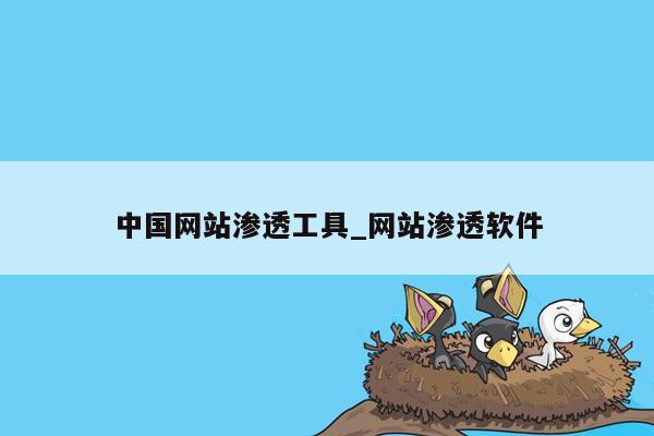 中国网站渗透工具_网站渗透软件