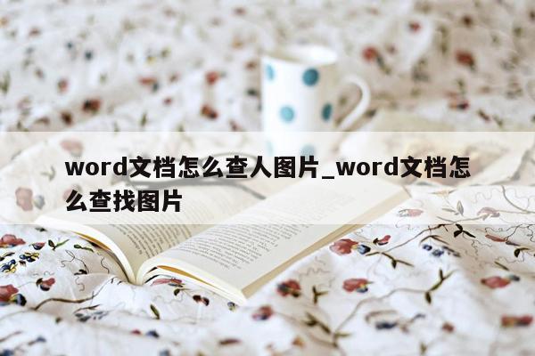 word文档怎么查人图片_word文档怎么查找图片