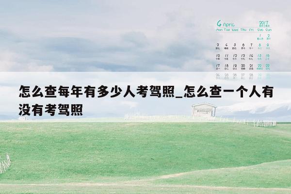 怎么查每年有多少人考驾照_怎么查一个人有没有考驾照
