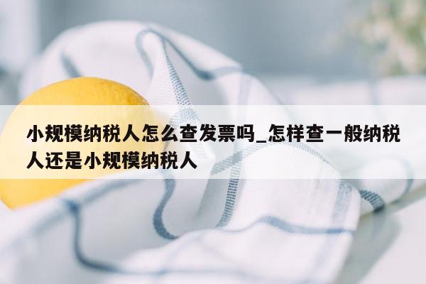 小规模纳税人怎么查发票吗_怎样查一般纳税人还是小规模纳税人