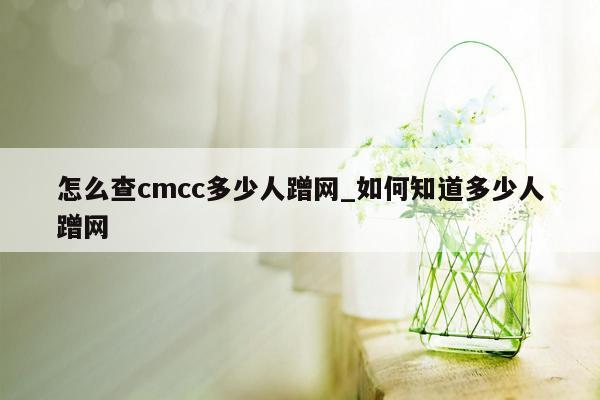 怎么查cmcc多少人蹭网_如何知道多少人蹭网