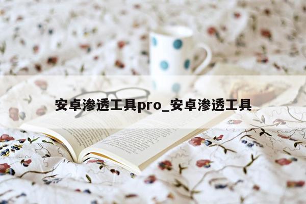 安卓渗透工具pro_安卓渗透工具