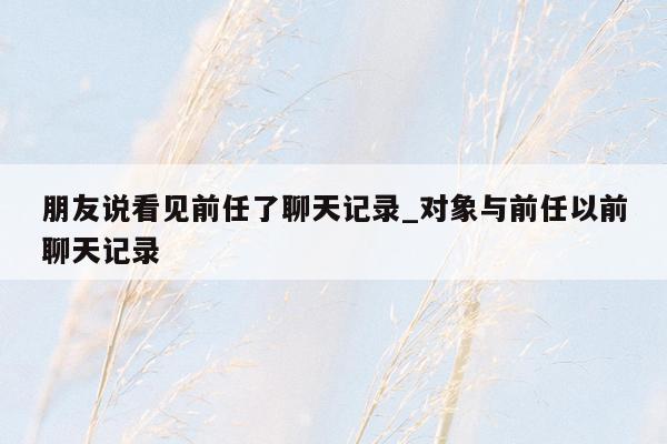 朋友说看见前任了聊天记录_对象与前任以前聊天记录