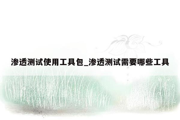 渗透测试使用工具包_渗透测试需要哪些工具