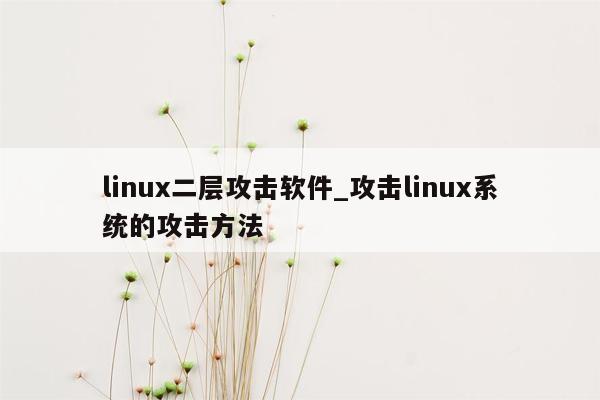 linux二层攻击软件_攻击linux系统的攻击方法