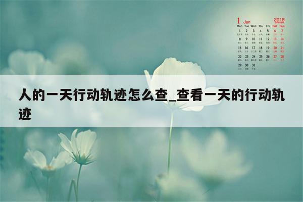 人的一天行动轨迹怎么查_查看一天的行动轨迹