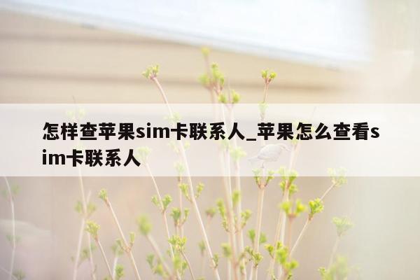 怎样查苹果sim卡联系人_苹果怎么查看sim卡联系人