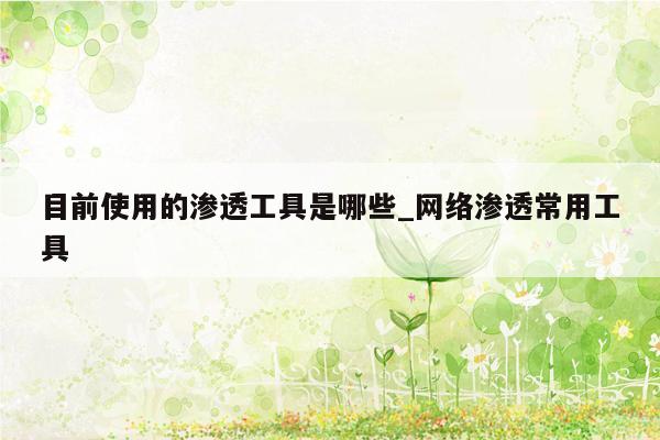 目前使用的渗透工具是哪些_网络渗透常用工具