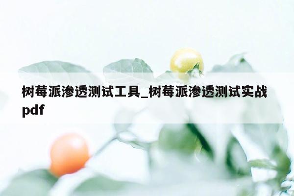 树莓派渗透测试工具_树莓派渗透测试实战 pdf