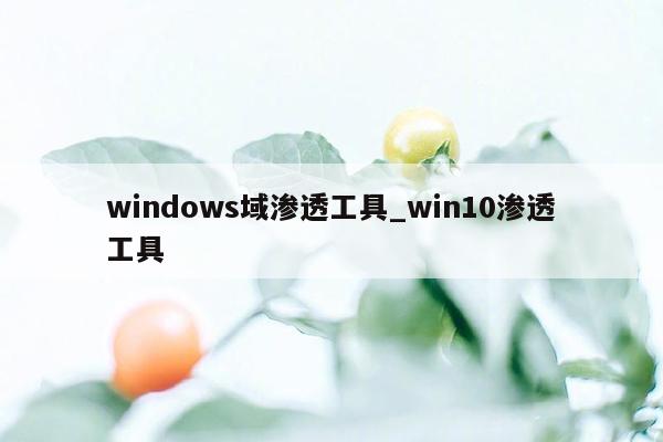 windows域渗透工具_win10渗透工具