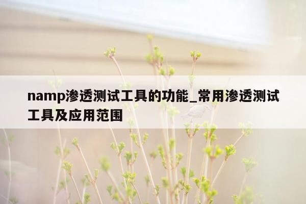 namp渗透测试工具的功能_常用渗透测试工具及应用范围