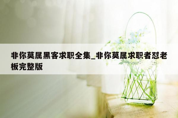 非你莫属黑客求职全集_非你莫属求职者怼老板完整版