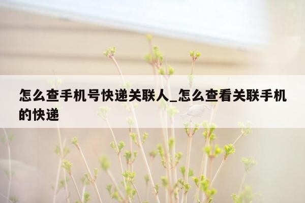 怎么查手机号快递关联人_怎么查看关联手机的快递