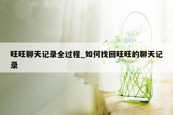 旺旺聊天记录全过程_如何找回旺旺的聊天记录
