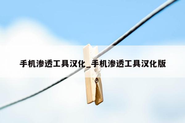 手机渗透工具汉化_手机渗透工具汉化版