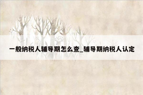 一般纳税人辅导期怎么查_辅导期纳税人认定