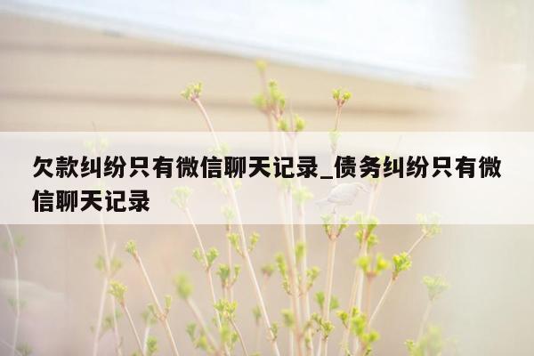 欠款纠纷只有微信聊天记录_债务纠纷只有微信聊天记录
