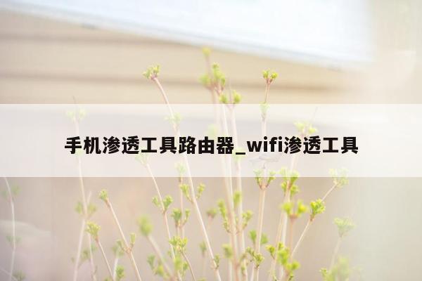 手机渗透工具路由器_wifi渗透工具