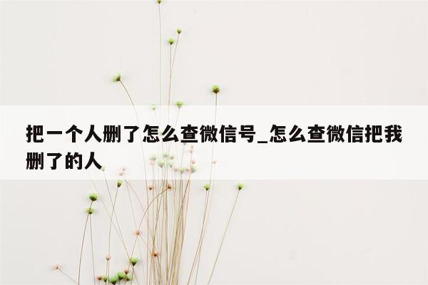 把一个人删了怎么查微信号_怎么查微信把我删了的人
