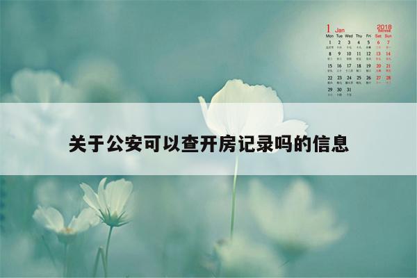 关于公安可以查开房记录吗的信息