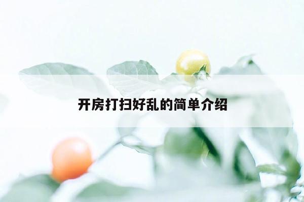 开房打扫好乱的简单介绍