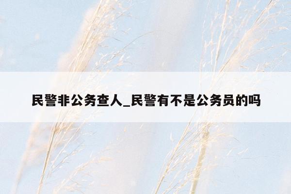 民警非公务查人_民警有不是公务员的吗