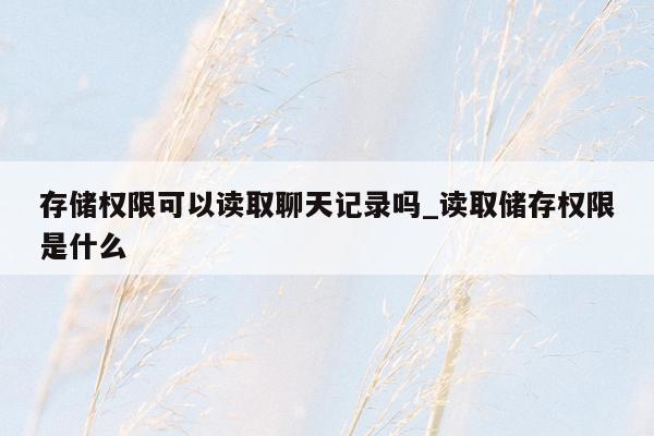 存储权限可以读取聊天记录吗_读取储存权限是什么