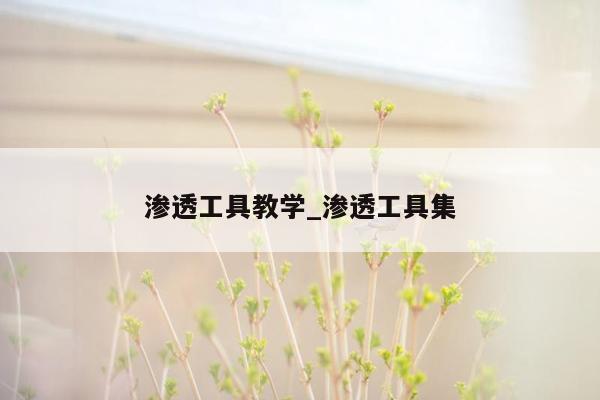 渗透工具教学_渗透工具集