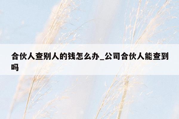 合伙人查别人的钱怎么办_公司合伙人能查到吗