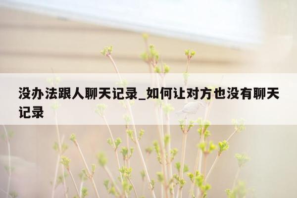 没办法跟人聊天记录_如何让对方也没有聊天记录