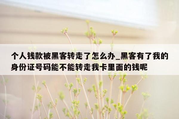 个人钱款被黑客转走了怎么办_黑客有了我的身份证号码能不能转走我卡里面的钱呢