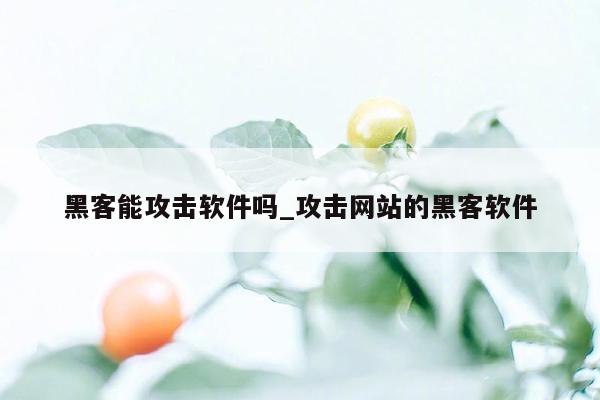 黑客能攻击软件吗_攻击网站的黑客软件