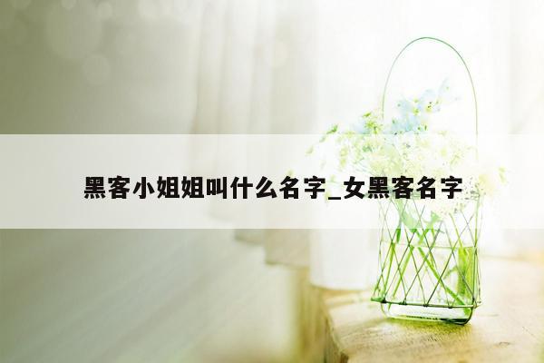 黑客小姐姐叫什么名字_女黑客名字