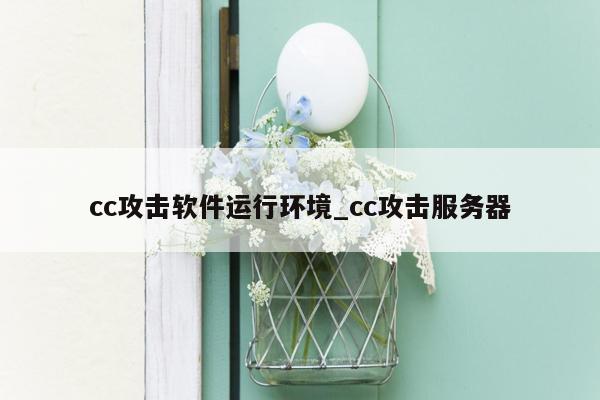 cc攻击软件运行环境_cc攻击服务器