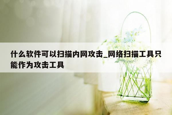 什么软件可以扫描内网攻击_网络扫描工具只能作为攻击工具