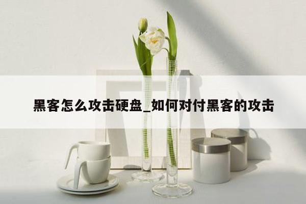 黑客怎么攻击硬盘_如何对付黑客的攻击