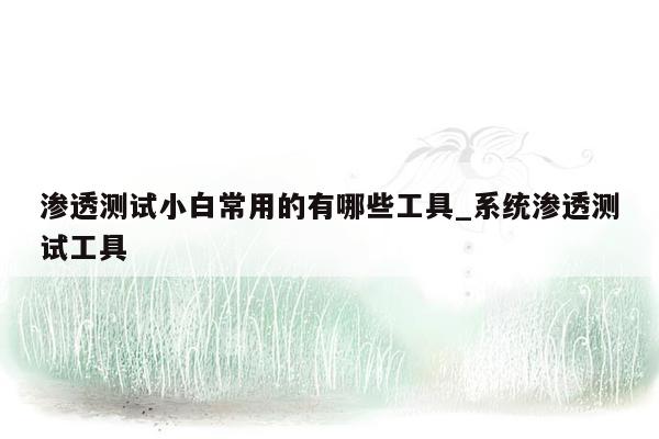 渗透测试小白常用的有哪些工具_系统渗透测试工具