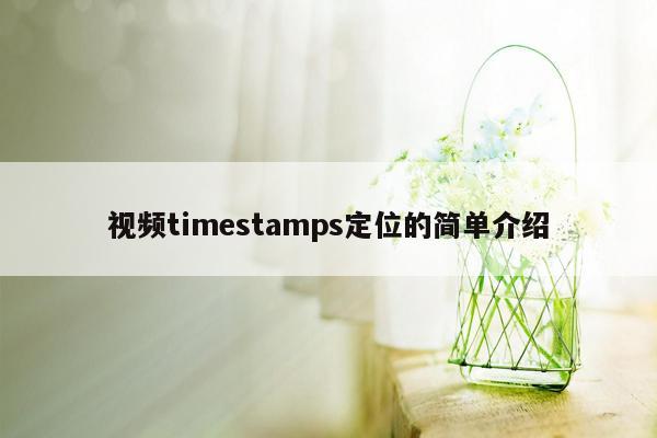 视频timestamps定位的简单介绍