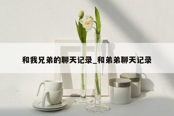 和我兄弟的聊天记录_和弟弟聊天记录