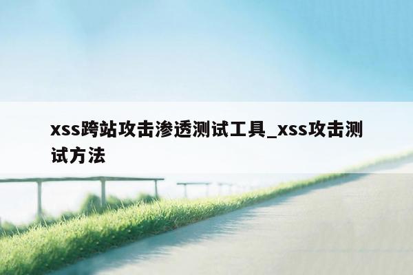 xss跨站攻击渗透测试工具_xss攻击测试方法