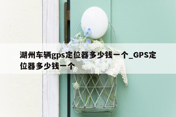 湖州车辆gps定位器多少钱一个_GPS定位器多少钱一个