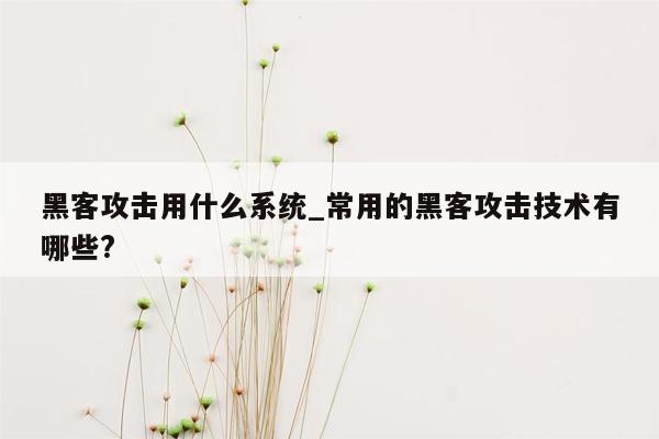 黑客攻击用什么系统_常用的黑客攻击技术有哪些?