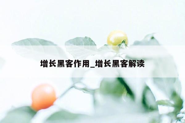 增长黑客作用_增长黑客解读